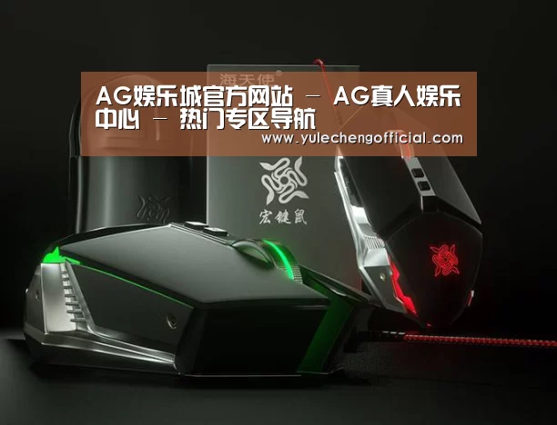 鼠标封面设计