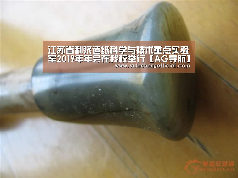 江苏省制浆造纸科学与技术重点实验室2019年年会在我校举行【AG导航】(图1) AG娱乐城