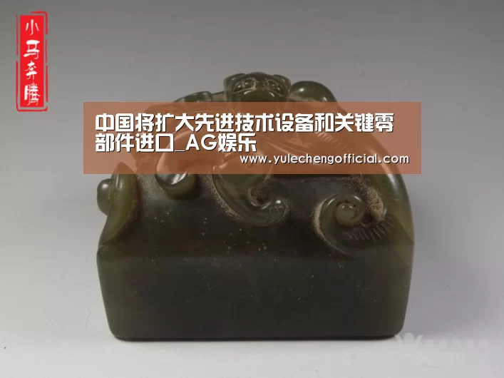 中国将扩大先进技术设备和关键零部件进口_AG娱乐(图3) AG专区