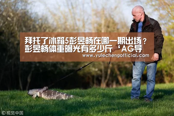 AG娱乐城
