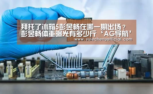 AG专区