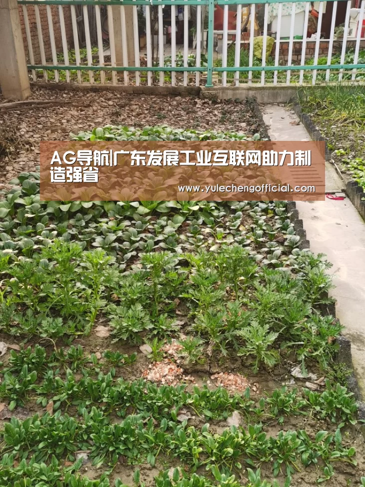 AG导航|广东发展工业互联网助力制造强省(图3) AG娱乐城