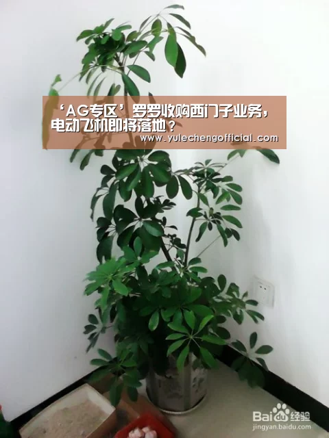 ‘AG专区’罗罗收购西门子业务,电动飞机即将落地?(图4) AG专区