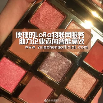 便捷的LoRa物联网服务 助力企业迈向智能高效的工业4.0时代“AG娱乐”(图2) AG娱乐城