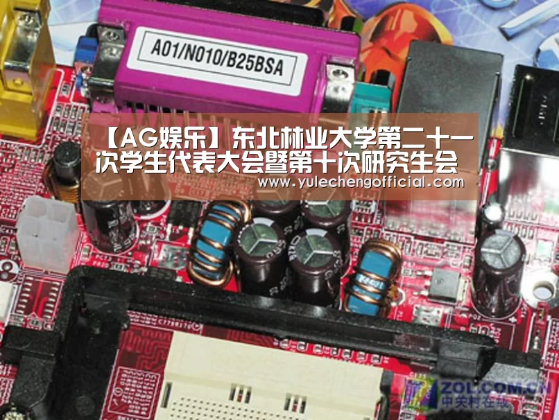 【AG娱乐】东北林业大学第二十一次学生代表大会暨第十次研究生会代表大会开幕(图1) AG专区