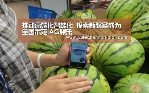 推动高端化智能化 探索新路径成为全国示范|AG娱乐(图2) AG专区